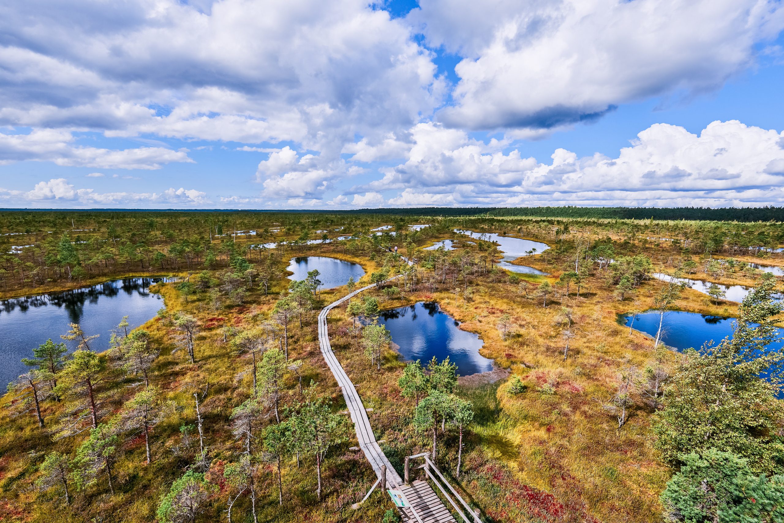 Best Day Trips from Riga (A Local Guide for Summer 2026)